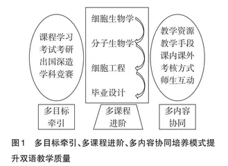 多目标、进阶式、协同性提升专业课双语教学质量