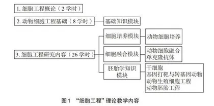 基于OBE教育理念的“细胞工程”教学改革与实践