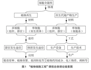 “植物细胞工程”内容梳理及教学设计探索