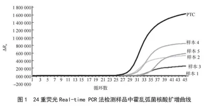 教育信息化背景下英语写作教学评价改革研究