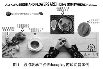 基于“虚拟教学+双语教学”的教学方式探索