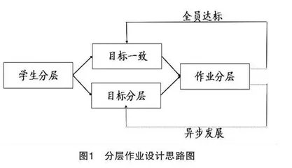 小学语文分层作业的设计误区、要点与实践案例