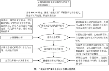 融合STEAM理念的“细胞工程”课程教学改革探索