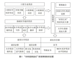 医文融合下国际化口腔医学人才培养模式构建
