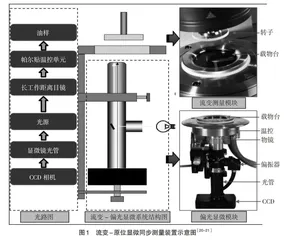 基于流变-原位同步测量技术的实验教学设计