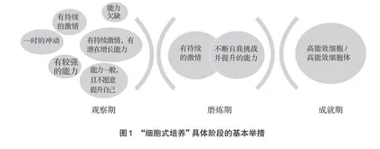 “细胞式培养”推动“双创”教育与专业教育融合的教学探索