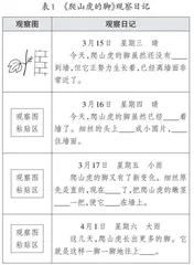 任务情境：大单元教学设计的意义支点
