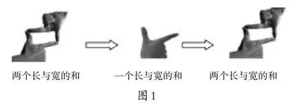 直觉力：一种指向发现的核心素养