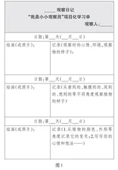 “跨”出精彩，“融”素养未来