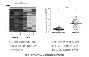 医学研究生实验设计能力培养