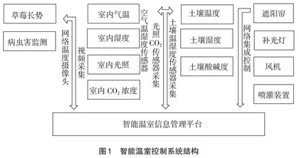 “草莓的无土栽培”实验教学改革模式的探索