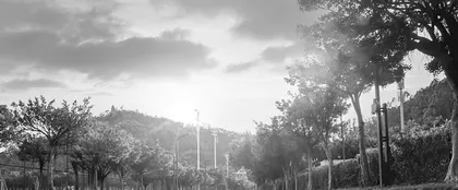 三十韶光别样红
