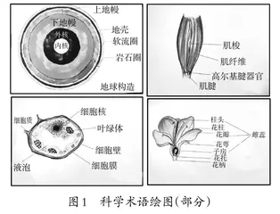 让儿童科普类作品阅读更有“趣”