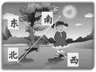打造生动、高效的小学低年级语文课堂