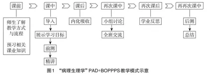 “新医科”背景与OBE理念下优化PAD教学探索