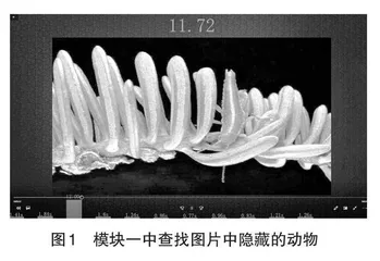 数字化迷彩伪装虚拟仿真实验系统课的设计与开发