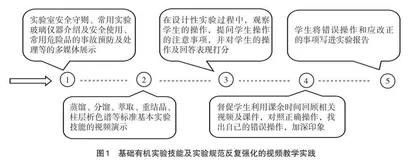 “有机化学实验”课程体系的改革和探索