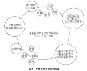 多学科交叉视域下课程改革初探