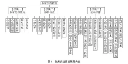 临床医学专业实践类课程模块化教学研究
