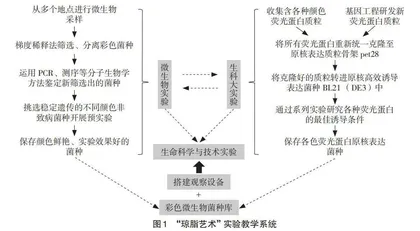 基于“以美育人”的多层次实验教学改革实践