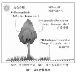 “双碳”背景下林业遥感植被碳汇估算实验设计