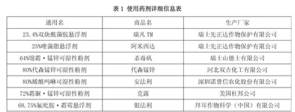 OBE理念下学前教育专业实践教学体系的构建