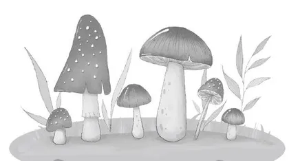 解读真菌的秘密