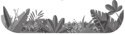 离离牛筋草