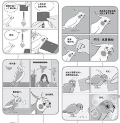 我家的鹦鹉