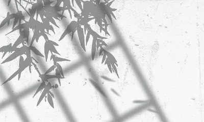 阴