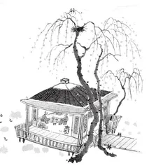 屋子里的柳树