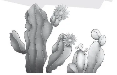 开花是仙人虫的宣言