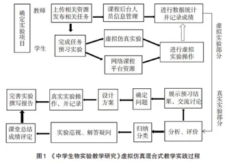 基于虚拟仿真实验及测评的混合式教学实践