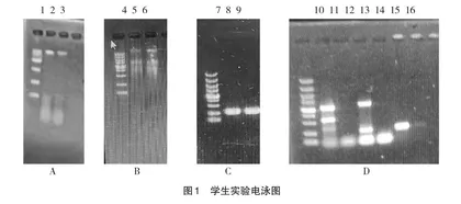 “分子生物学”实验课程教学改革探索