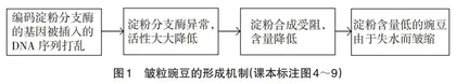 基于小组合作式的教学设计与应用