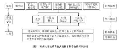 综合性大学农业大数据人才培养体系构建