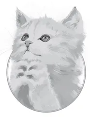 猫也有麒麟尾