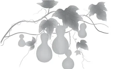 宝葫芦，葫芦宝