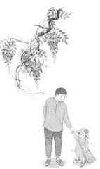 紫藤萝花隧
