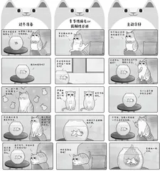 一只主动示好的猫