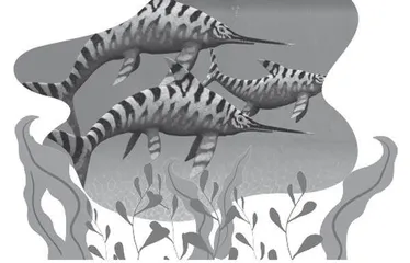 破译珠峰古生物里的独特密码