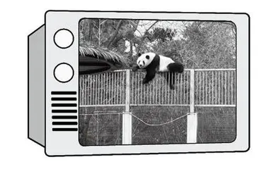 趣闻/数字控/语录/热词/眼缘