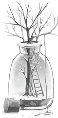 树冷不冷