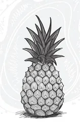 租一颗菠萝过新年
