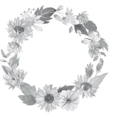 向日葵法则