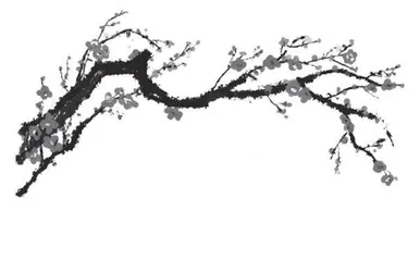 散发淡淡甜香味的铁杆梅花