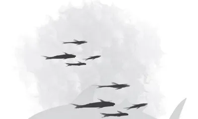 平民春鲜第一鱼