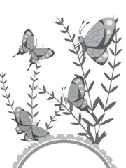 蝴蝶界的伪装大师