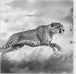 悲情母猎豹