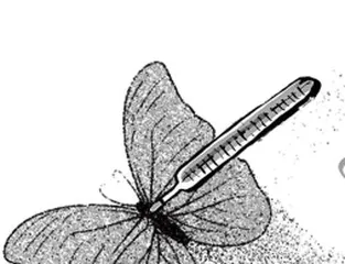 给蝴蝶量体温